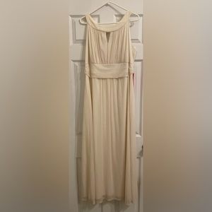 Women’s Plus size sparkly cocktail dress